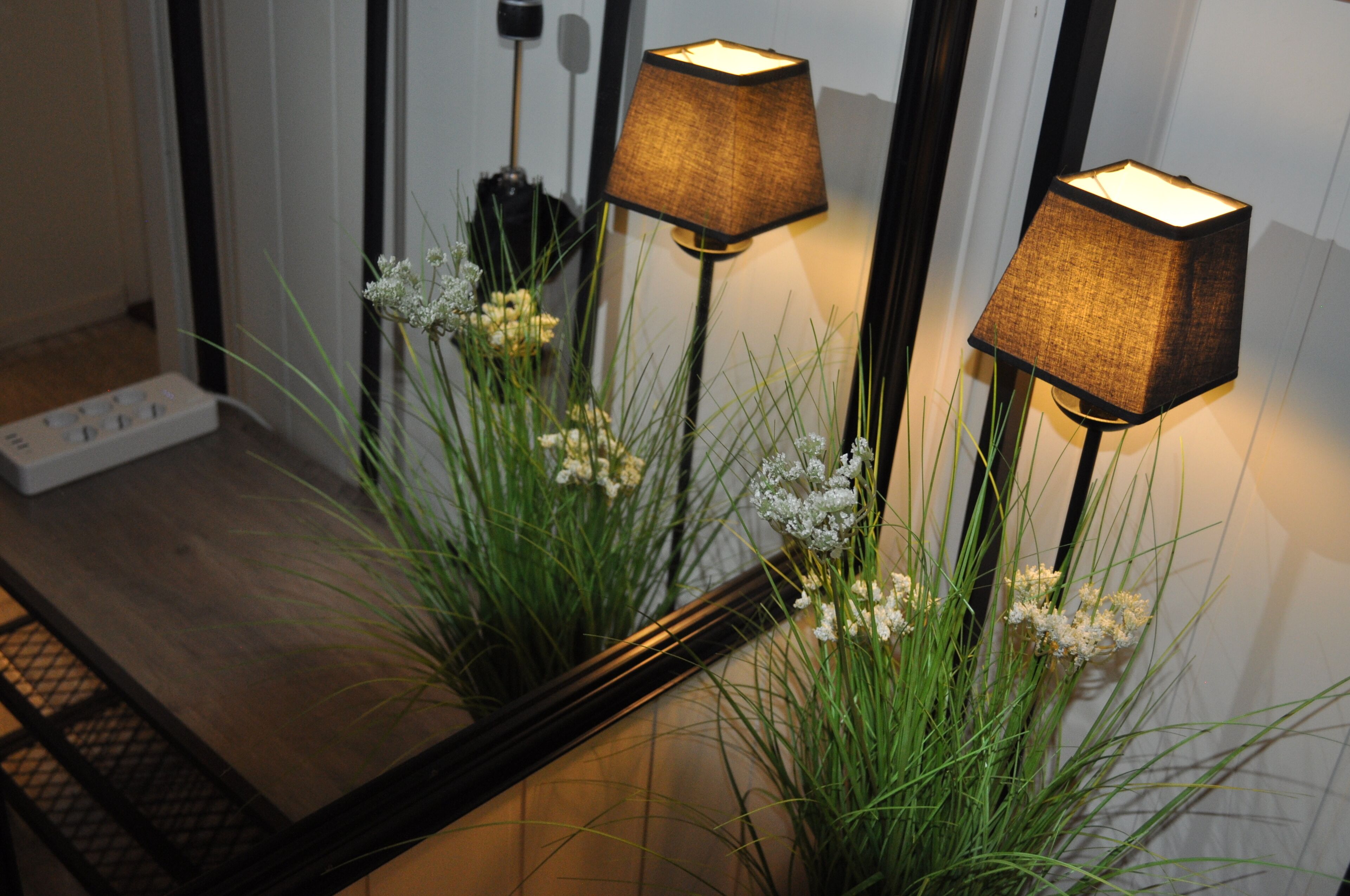 Un miroir reflétant deux lampes et quelques plantes.