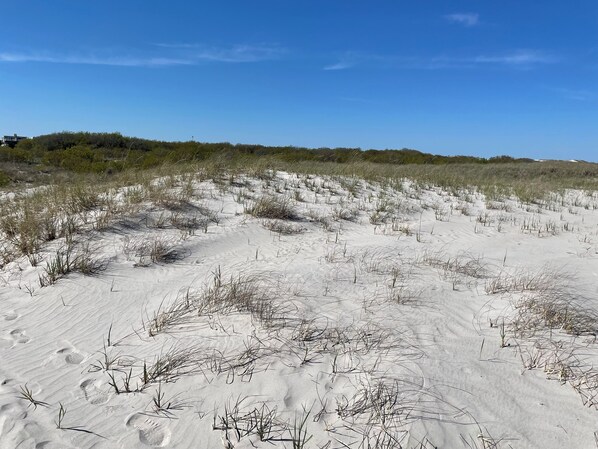 Een zandstrand met schaarse begroeiing en voetafdrukken.