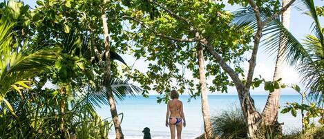 Sun loungers, beach towels