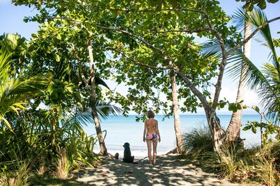 Luxurious 9-bedroom beach resort in the amazing Osa Peninsula in Costa Rica