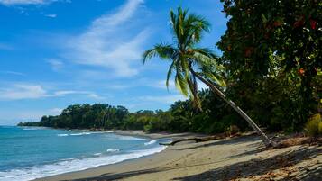 Sun-loungers, beach towels