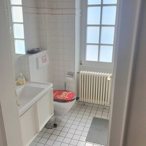 Douche, sèche-cheveux, serviettes fournies, papier toilette