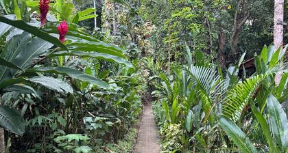 Premium Jungle Cabin with AC
