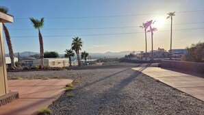 A gravel driveway with palm trees and a clear sky.