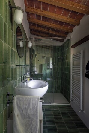 Hair dryer, towels, soap, toilet paper - EXCEPTIONAL TUSCAN VILLA (Loppeglia)