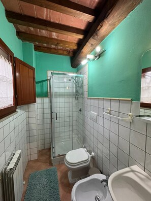 Shower, hair dryer, bidet, towels