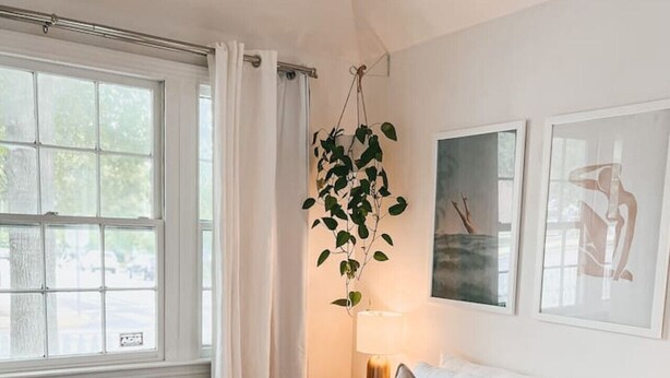 A hotel room with a large bed, a hanging plant, a window with curtains, and two framed artworks on the wall. - Spacious Historic home near 12 South with easy access to local attractions (Nashville)