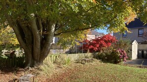 Ein Wohngebiet mit einem großen Baum, einem Holzzaun und einem Haus im Hintergrund.