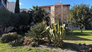 Un patio con una planta de agave grande, varios arbustos y un edificio con techo de tejas y balcones.