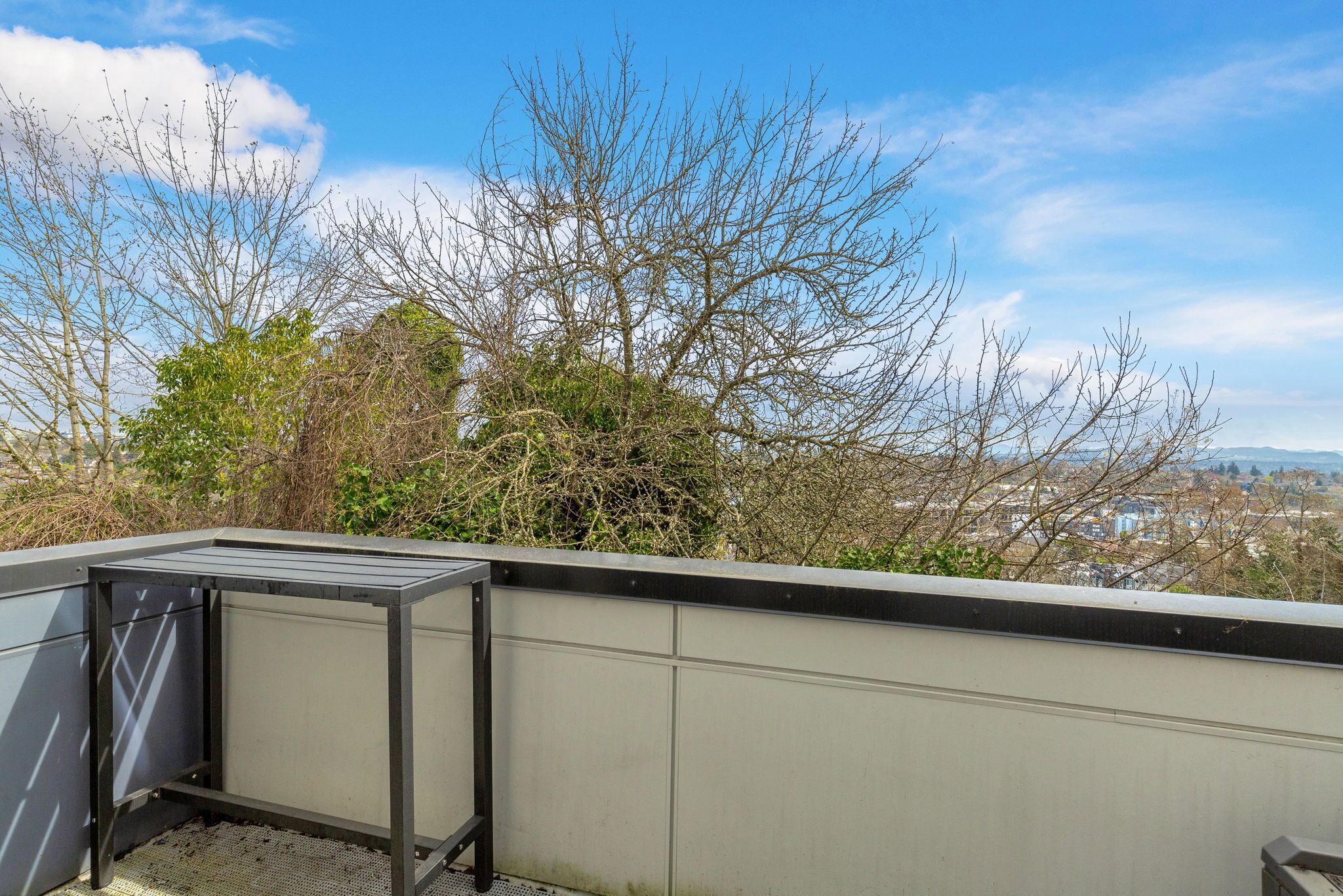 Una terraza en la azotea con barandilla de metal, vista del paisaje urbano y árboles sin hojas.
