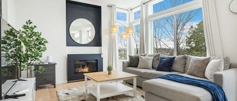 Smart-TV, Kamin