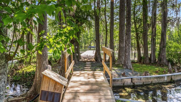 Un pont en bois mène à une structure également en bois, sur laquelle est apposée une pancarte. L’ensemble est entouré de grands arbres et bordé par une étendue d’eau.
