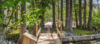 Merritt's Mill Pond Hideaway - 2.5 acres of waterfront paradise