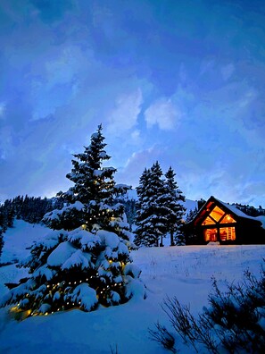 Exterior - Thoreau's Cabin: Back to the Basics, Beautifully. (Lake City)