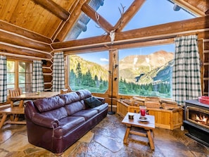 TV, fireplace - Thoreau's Cabin: Back to the Basics, Beautifully. (Lake City)