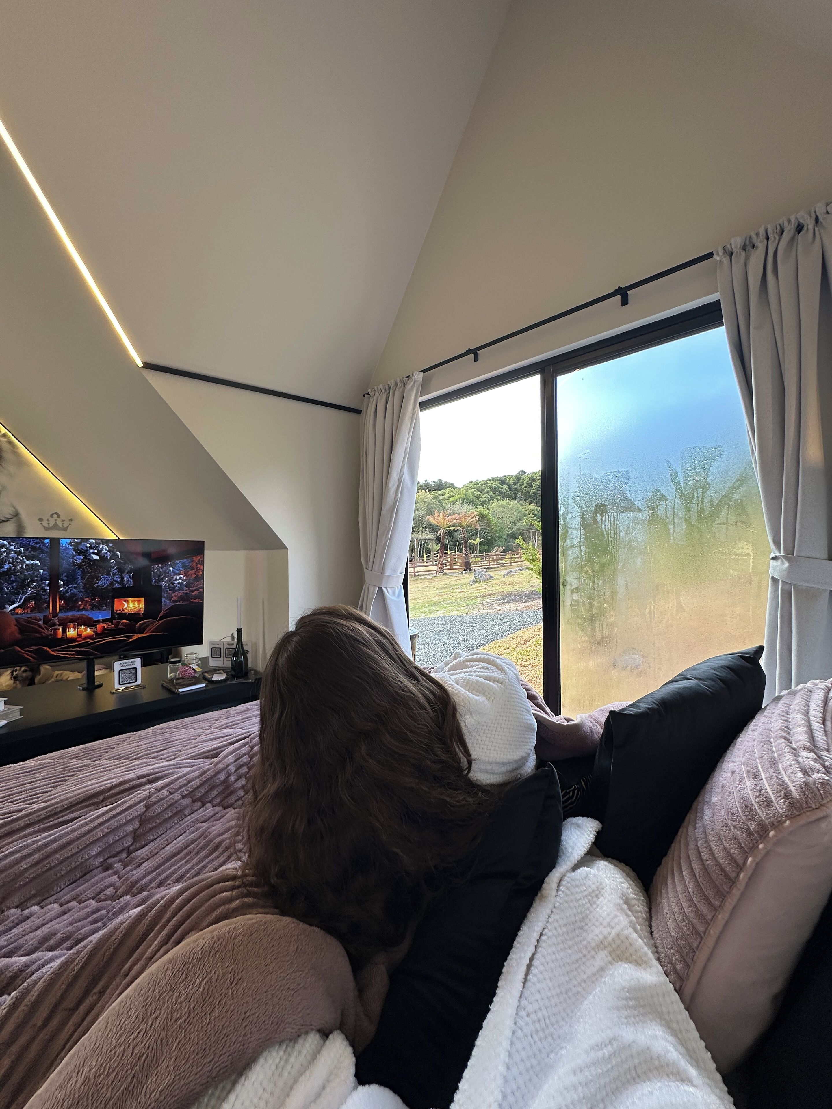 Ein Schlafzimmer mit großem Fenster, einem Fernseher auf einem Schrank und einem Hund, der auf dem Bett liegt.