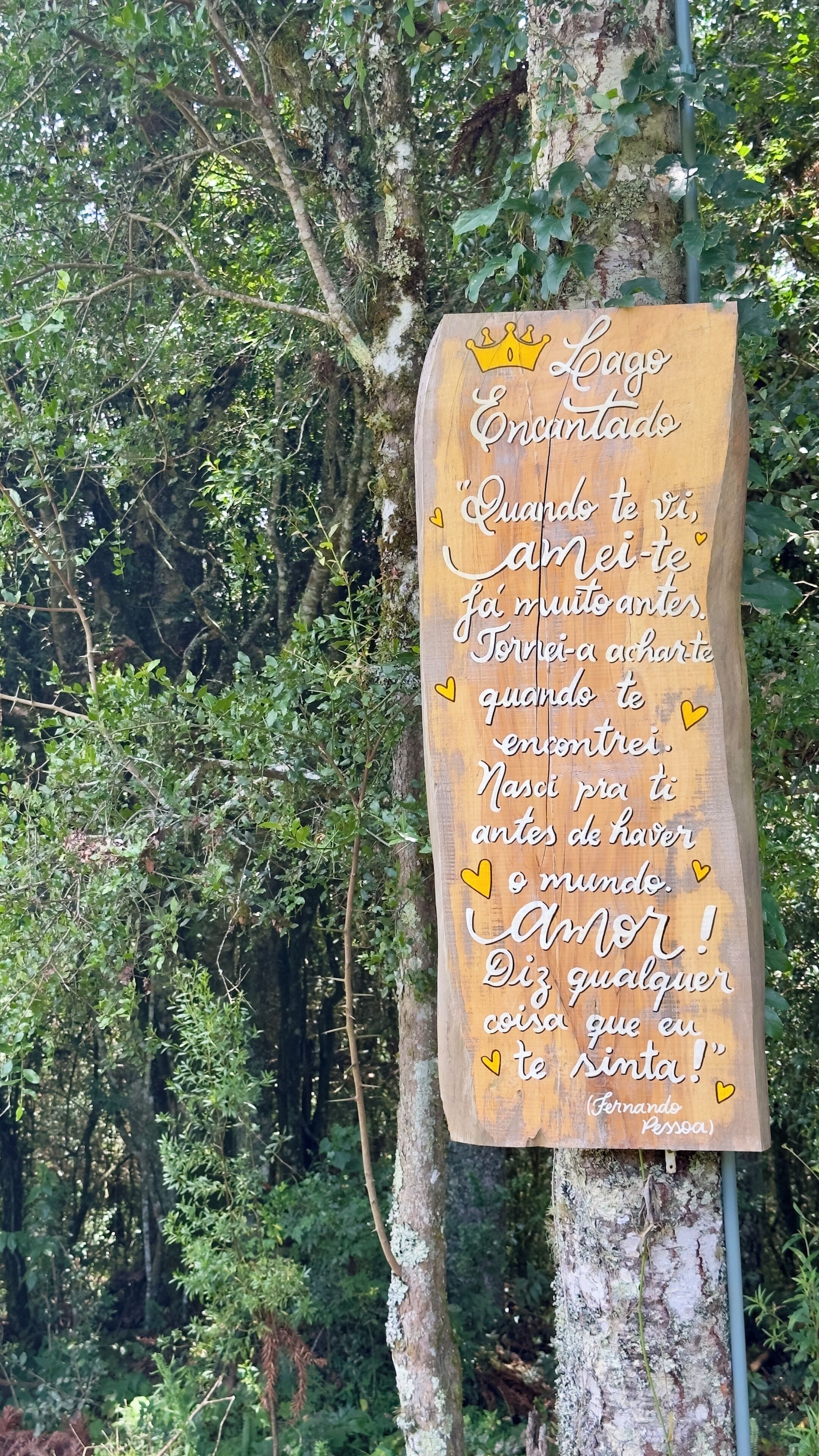 A wooden sign with a message in a foreign language, surrounded by dense greenery.