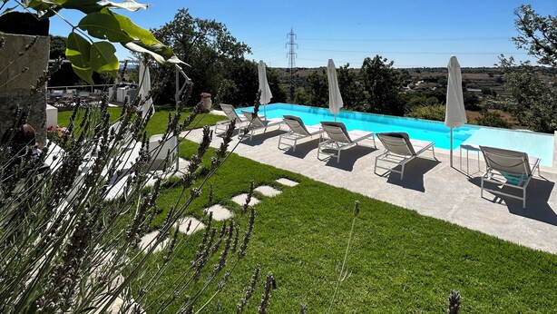 A swimming pool with lounge chairs and umbrellas, surrounded by a well-maintained lawn and lavender plants.