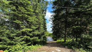 A wooden bench in a forested area with a gravel path and a small stream in the background.