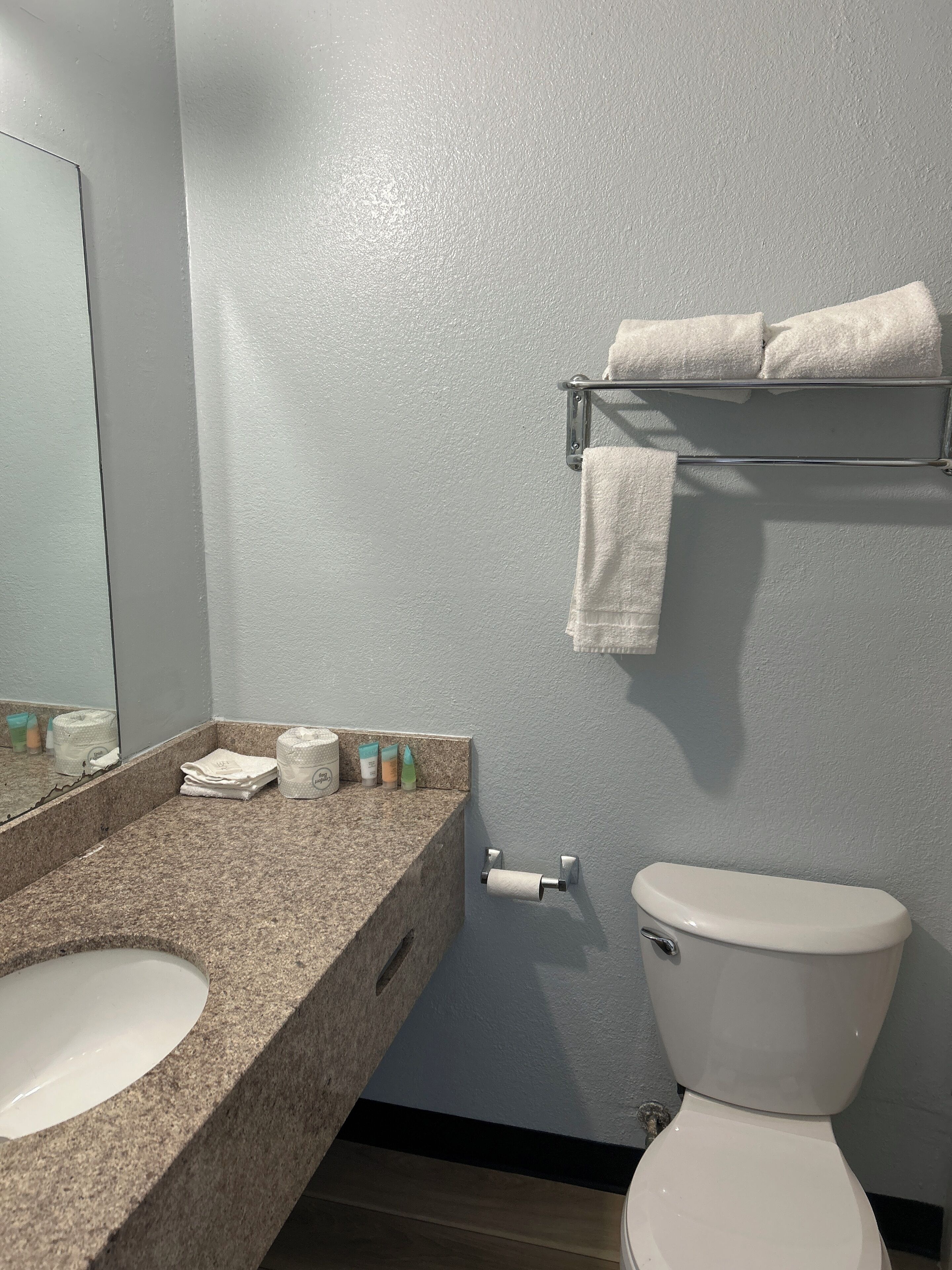 Double or Twin Room | Bathroom | Soap, shampoo, toilet paper