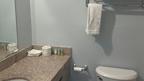 Ein Badezimmer mit einer Granitplatte, einem weißen Waschbecken, einer Toilette und einem Handtuchhalter.