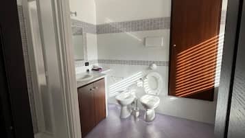Shower, hair dryer, bidet, towels