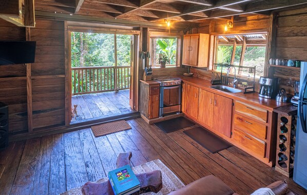 Fridge, oven, stovetop, coffee/tea maker