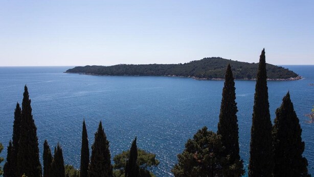 A coastal landscape with a small island, tall cypress trees, and a clear blue sea.