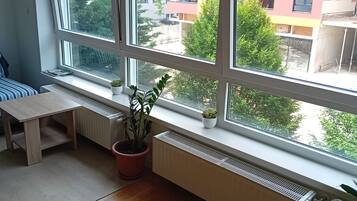 Apartment (Apartments Cankareva) | View from room