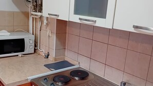 아파트 (Apartments Petrova) | 전용 주방 | 냉장고