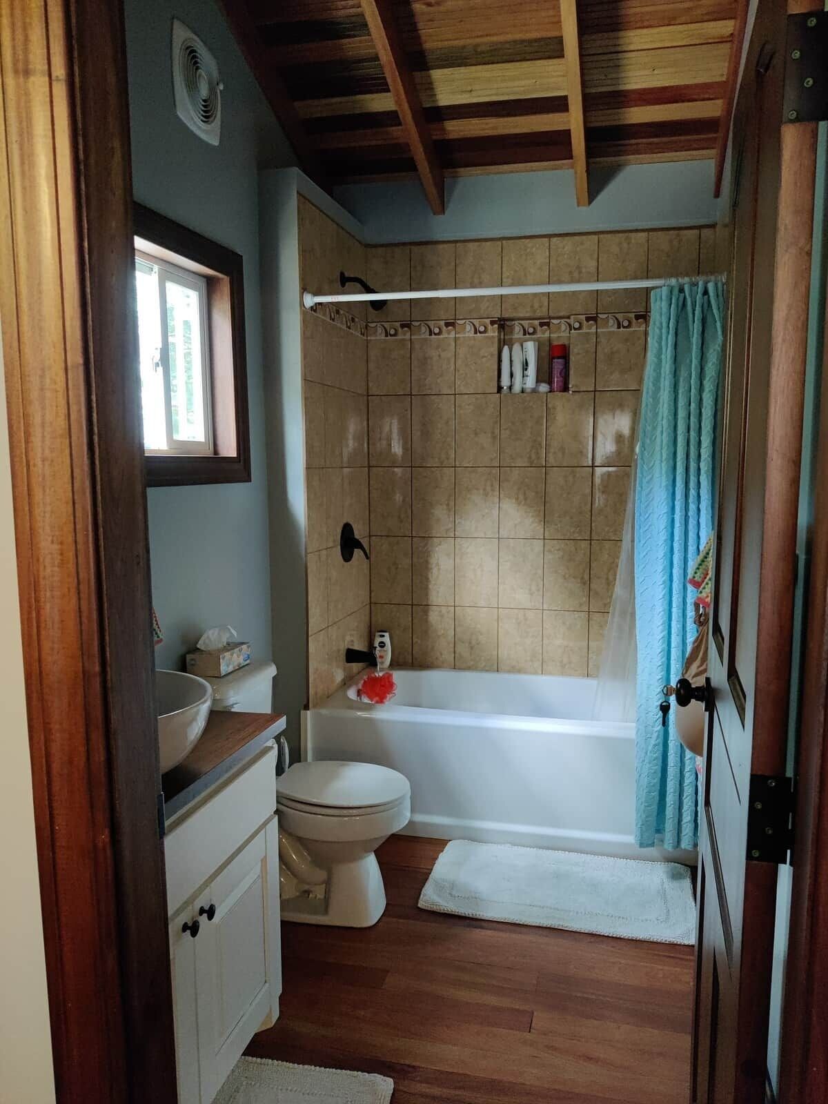 Shower, hair dryer, soap, toilet paper