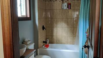 Shower, hair dryer, soap, toilet paper