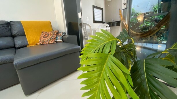 A modern living room with a grey sofa, patterned cushions, and a large green plant.