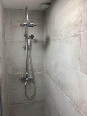 Shower, hair dryer, toilet paper