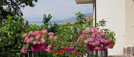 En balkon med blomsterkrukker og udsigt til vand og bygninger i det fjerne.