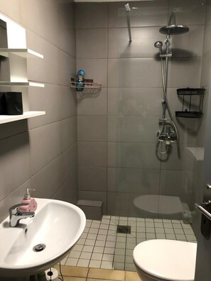 Shower, hair dryer, towels, soap - 2 room apartment with terrace (Roth-sur-Our)
