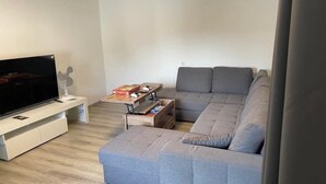 A living room with a grey sofa, a TV, a fan, and a small table with a box and remote. - 2 room apartment with terrace (Roth-sur-Our)
