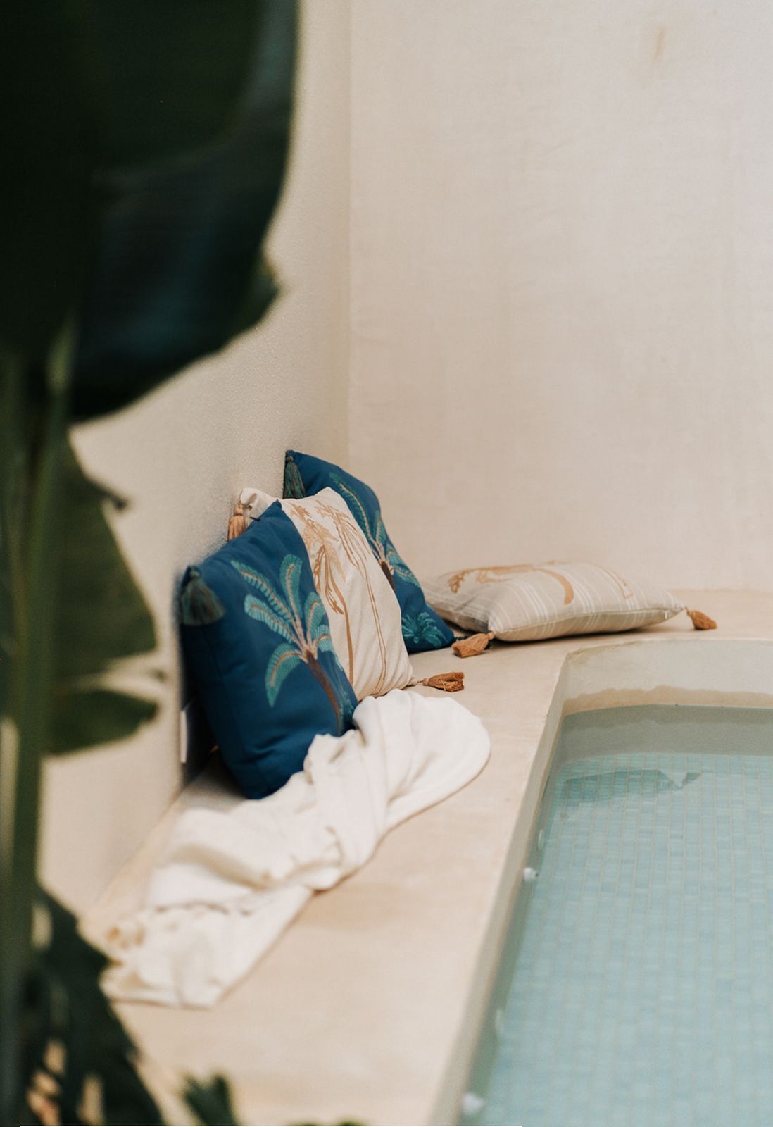 A poolside area with a bench, pillows, and a plant.
