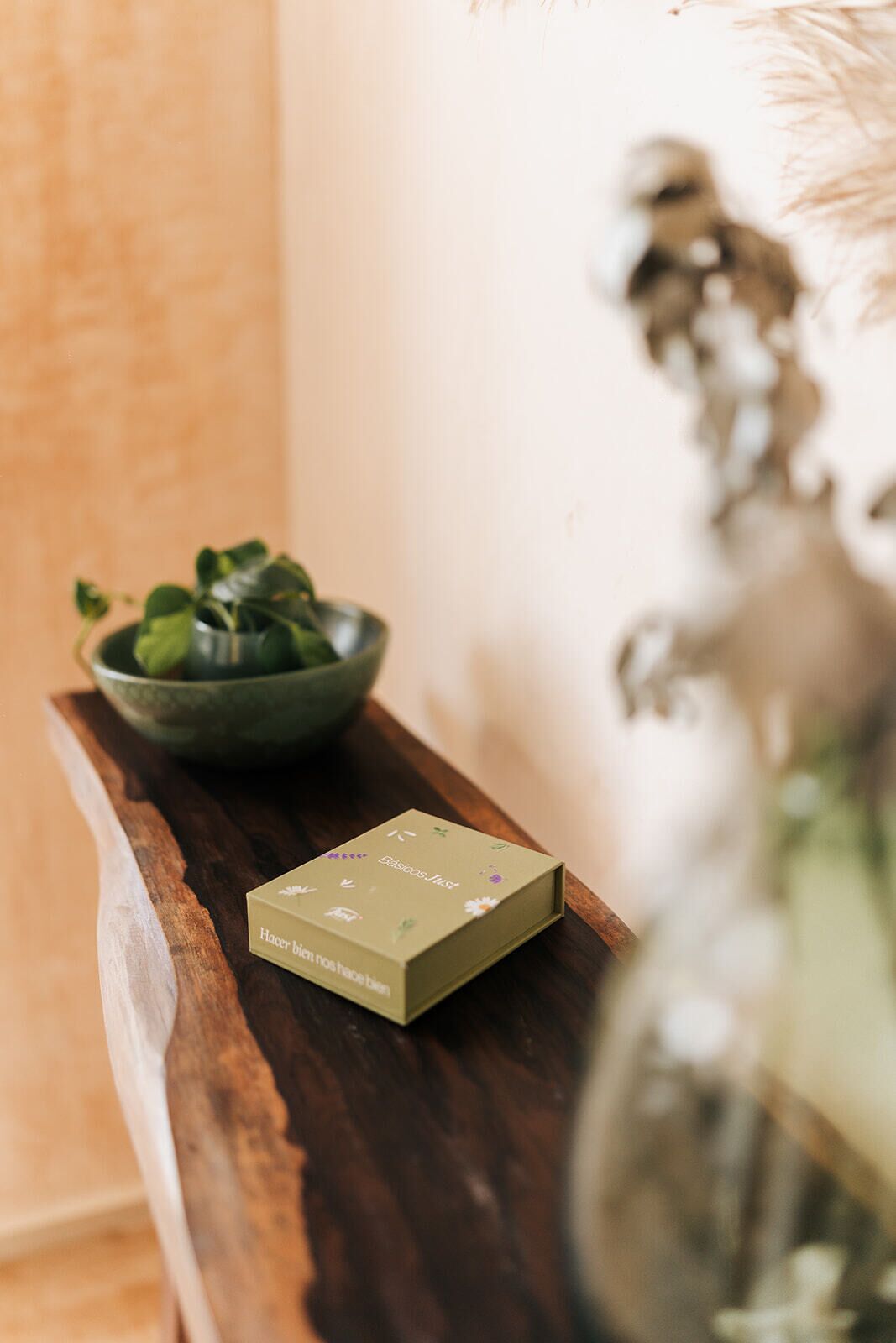 A wooden tray with a green box labeled "Hacer bien nos hogares" and a bowl of green plants.