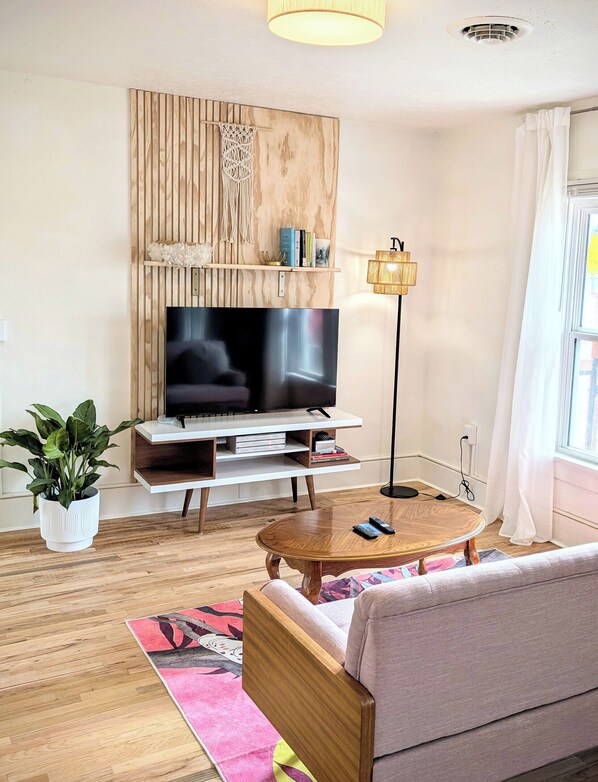 智能電視、書籍