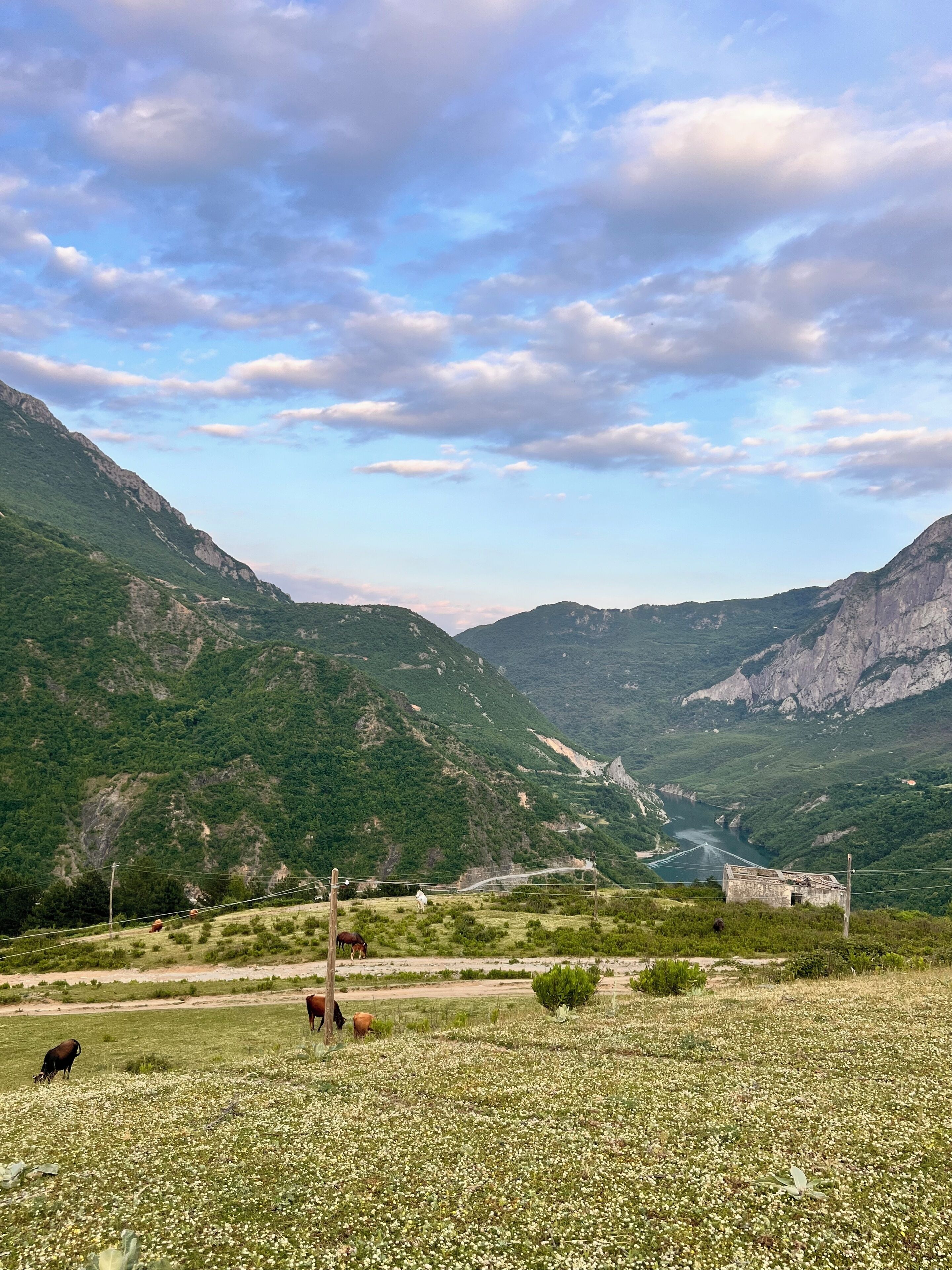 Paisaje montañoso con un valle, un río y algunos caballos pastando.