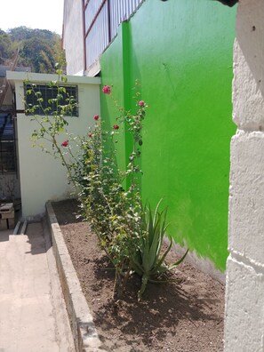 Exterior detail