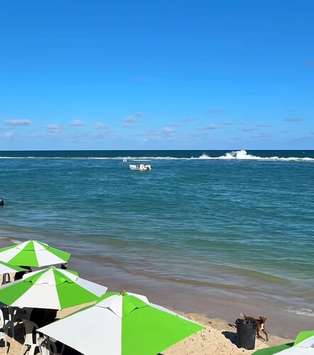 House in the Barra de São Miguel
