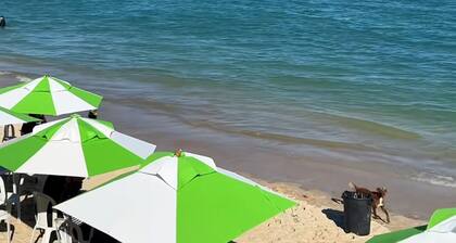 House in the Barra de São Miguel