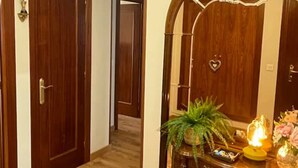 Un pasillo con puertas de madera, un armario de madera con un espejo y una planta en maceta.