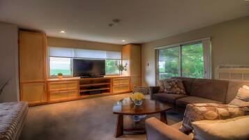 TV, video library, stereo