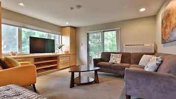 TV, video library, stereo