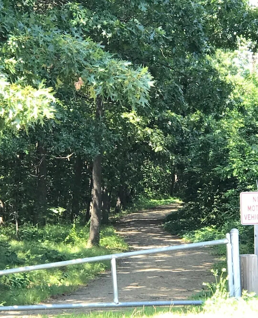 Un sendero de tierra rodeado de follaje denso, con una barandilla metálica y un cartel que indica la prohibición de vehículos motorizados.