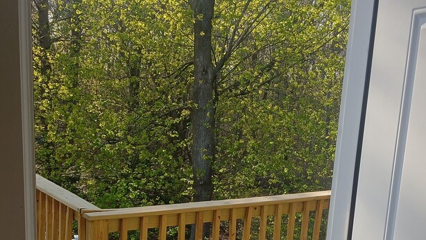 Une terrasse en bois avec une rambarde, une porte et une vue sur les arbres.