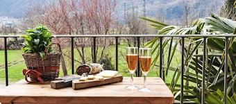 Lovely apartment for 3 guests with WIFI, TV, patio and pets allowed